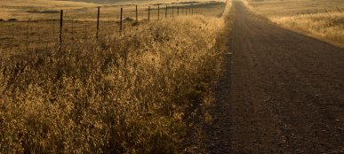 Want Your Child to be Joyful When Helping? Here’s How